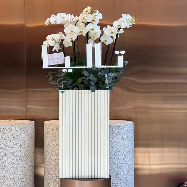 1d23fb79_WhatsApp Image 2025-11-23 at 10.36.09_c0f74032.jpg